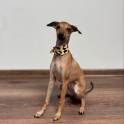 Collar de Perro Leopardo Ancho