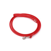 Light Red Dog Lead