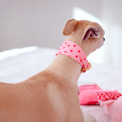 Collar para perro Love Ancho