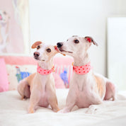 Collar para perro Love Ancho