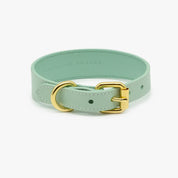 Collar de Perro Fino en Color Menta