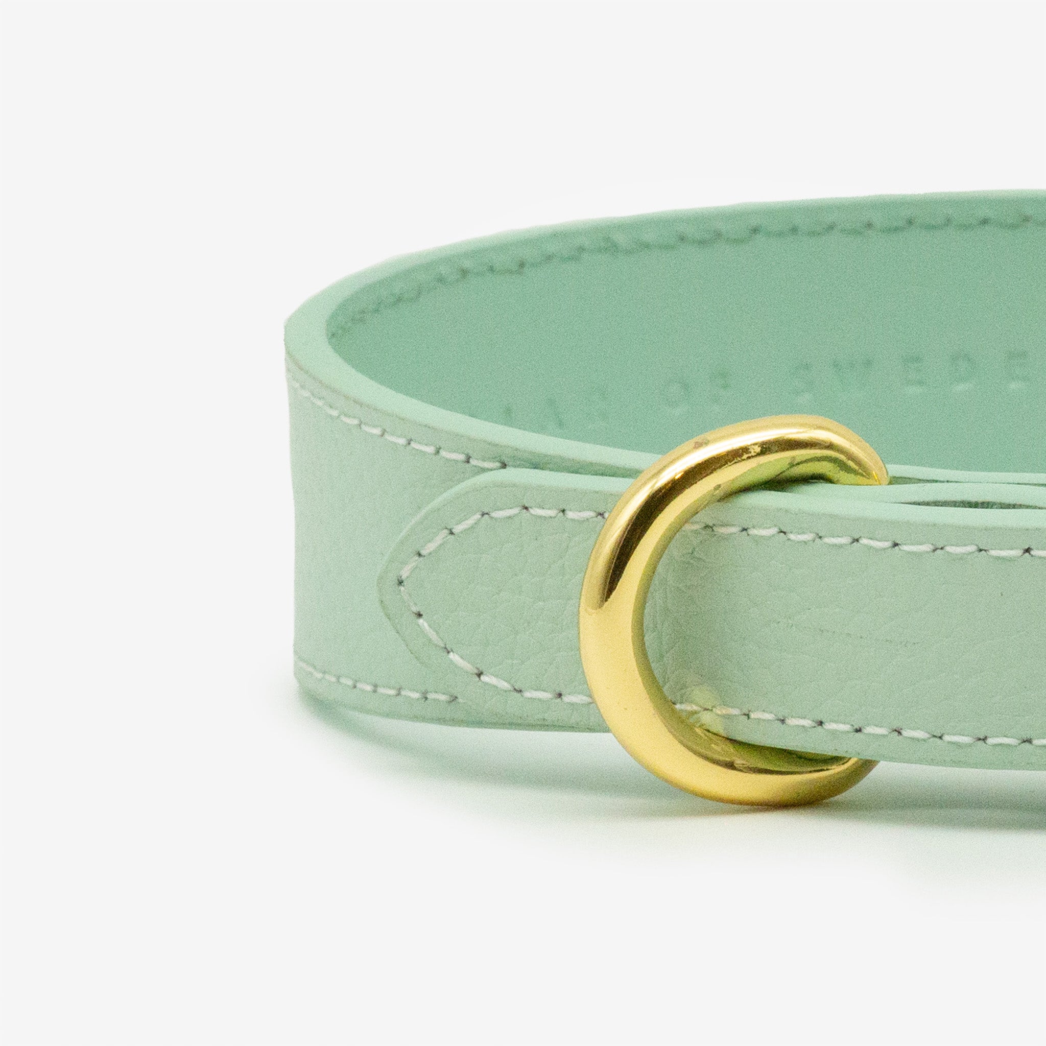Collar de Perro Fino en Color Menta