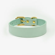Collar de Perro Fino en Color Menta