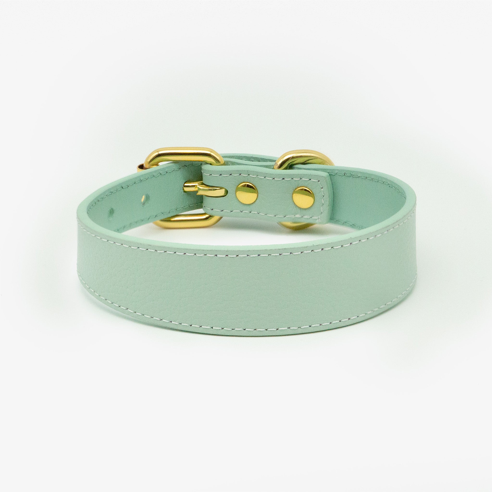 Collar de Perro Fino en Color Menta