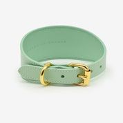 Collar para Perro Ancho de Color Menta
