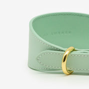 Collar para Perro Ancho de Color Menta