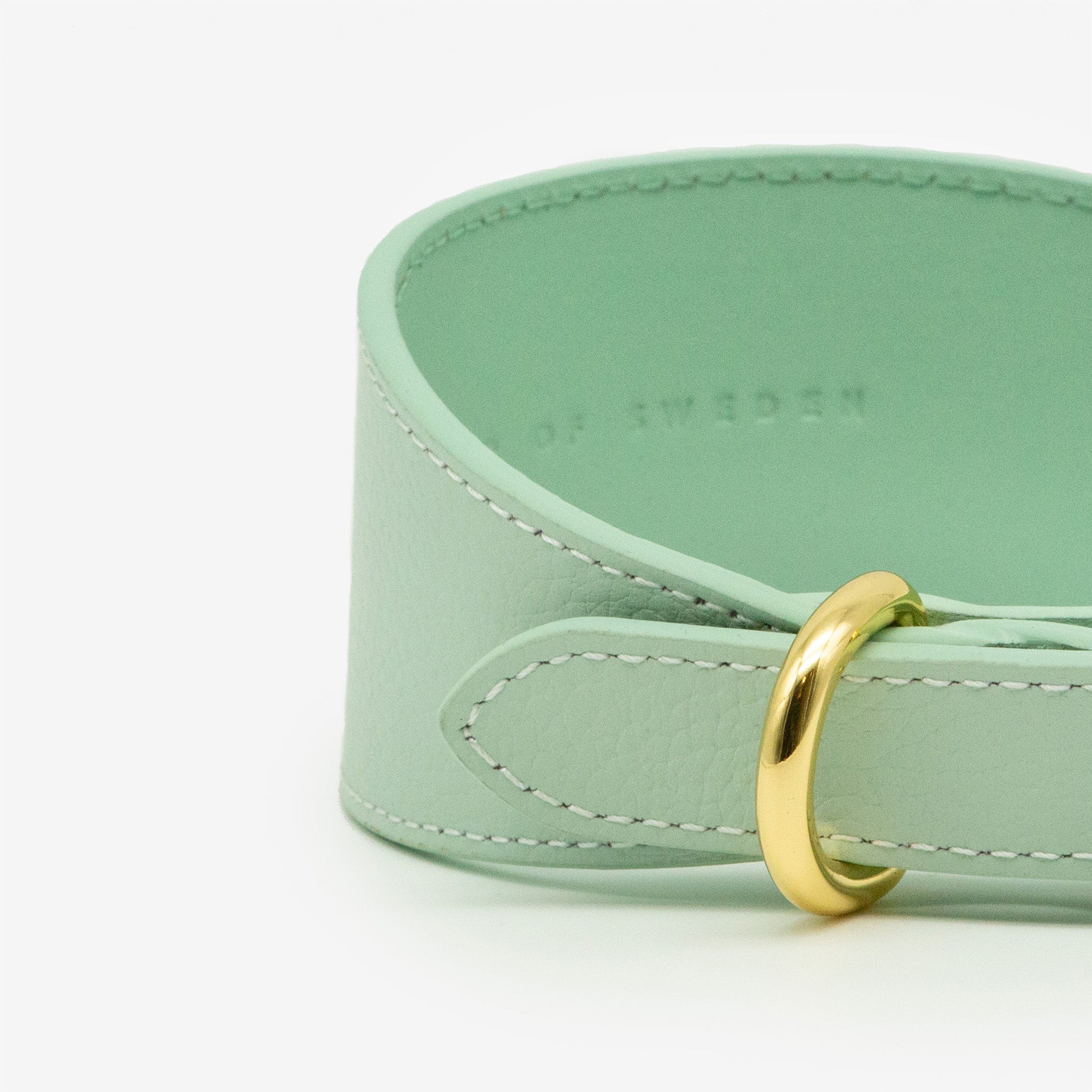 Collar para Perro Ancho de Color Menta