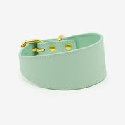 Collar para Perro Ancho de Color Menta