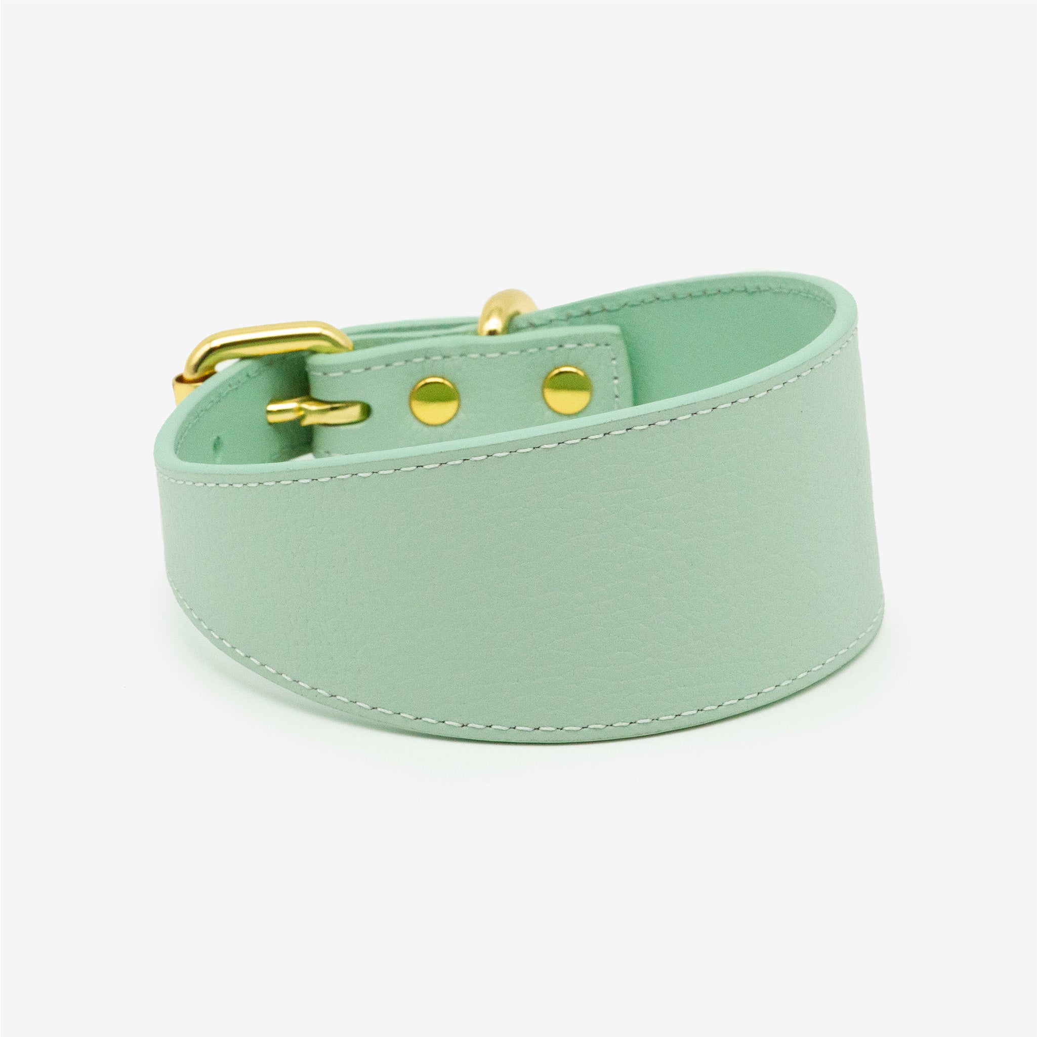 Collar para Perro Ancho de Color Menta
