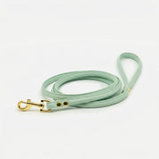 Mint Dog Lead