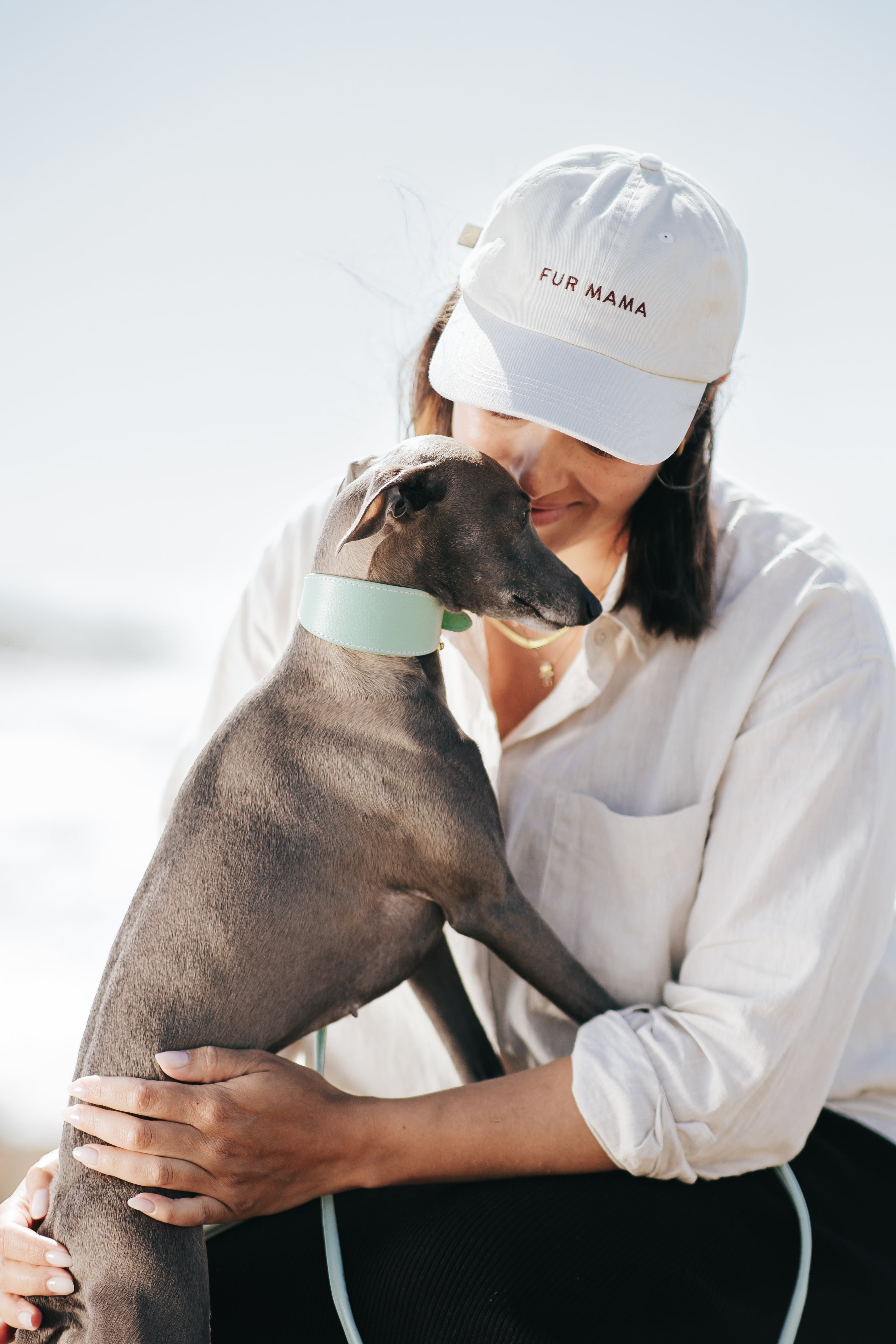 mint-xs-wide-italian-greyhound.jpg