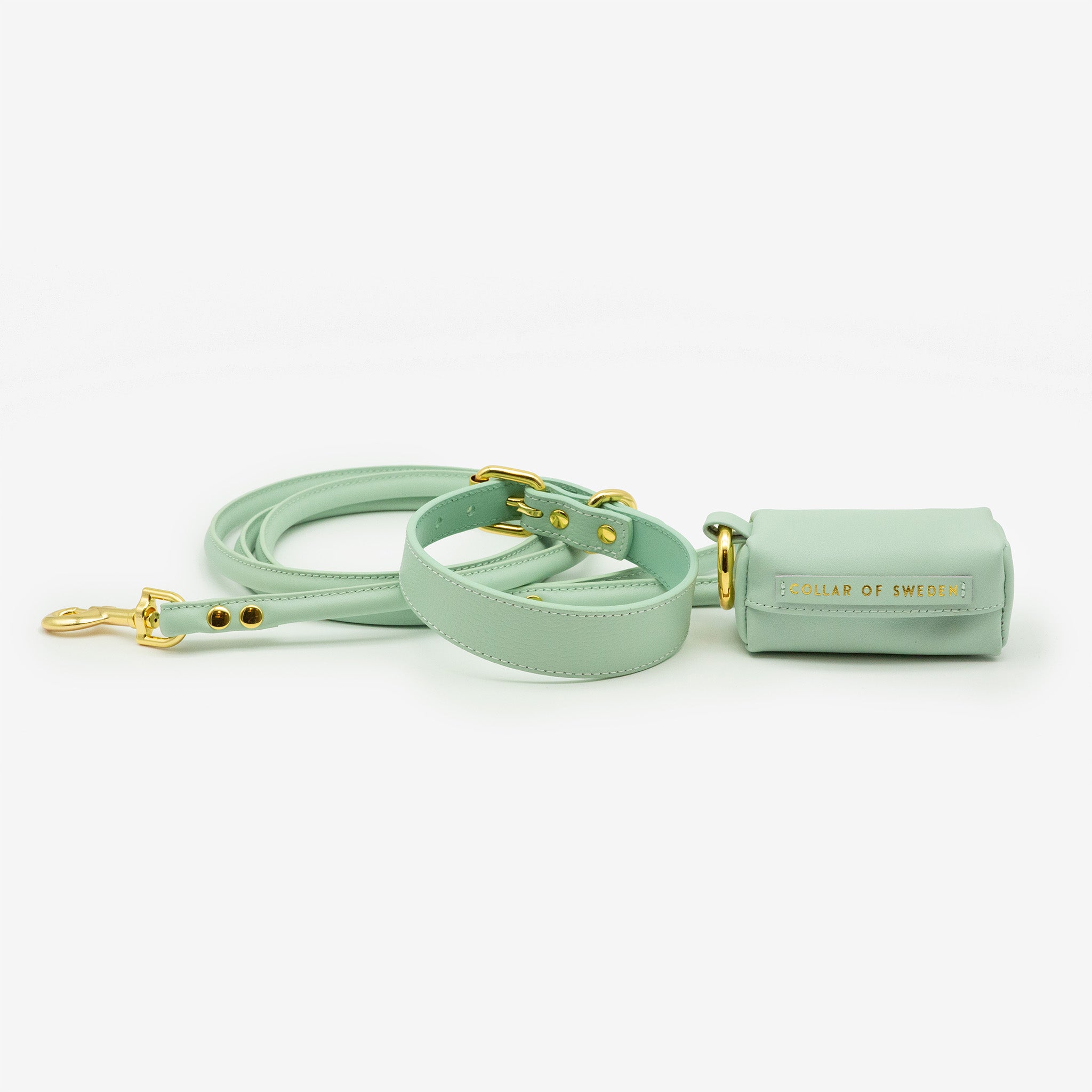Collar de Perro Fino en Color Menta