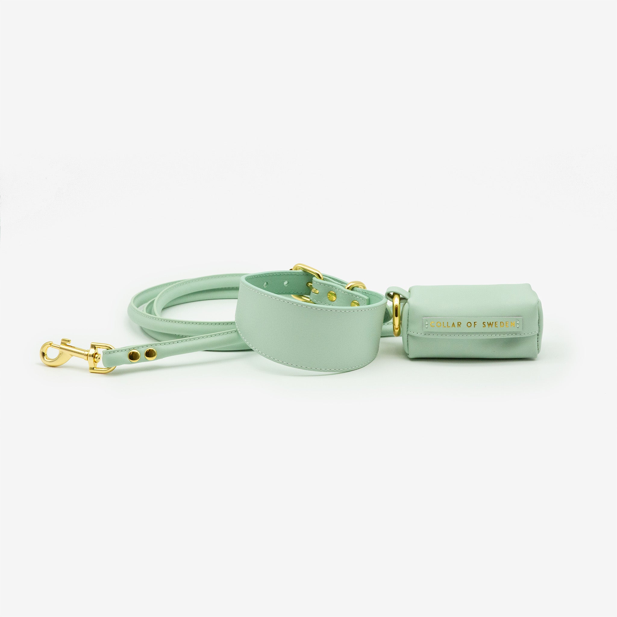 Collar para Perro Ancho de Color Menta