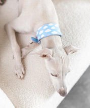 Collar Perro Nubes Ancho