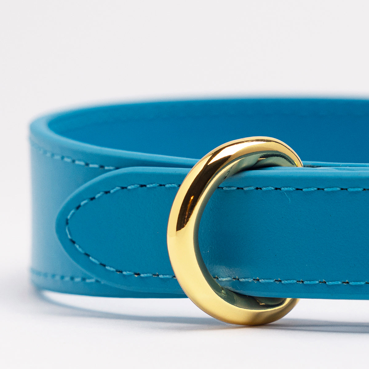 Collar de Perro Azul Neón Delgado