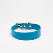 Collar de Perro Azul Neón Delgado