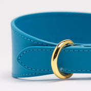Collar para Perro Azul Neón Ancho