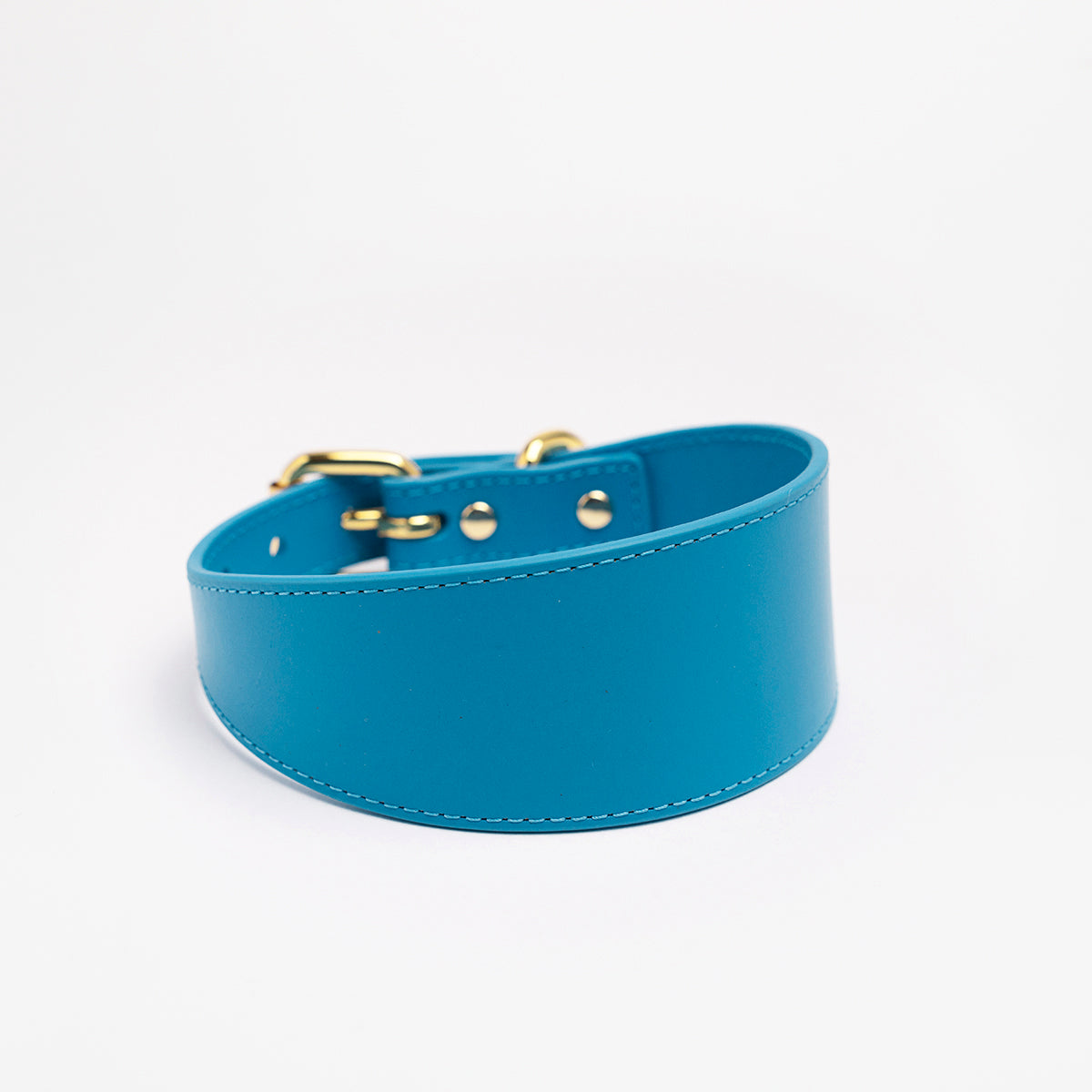 Collar para Perro Azul Neón Ancho