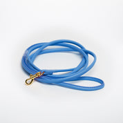 Correa para perro en color azul neón