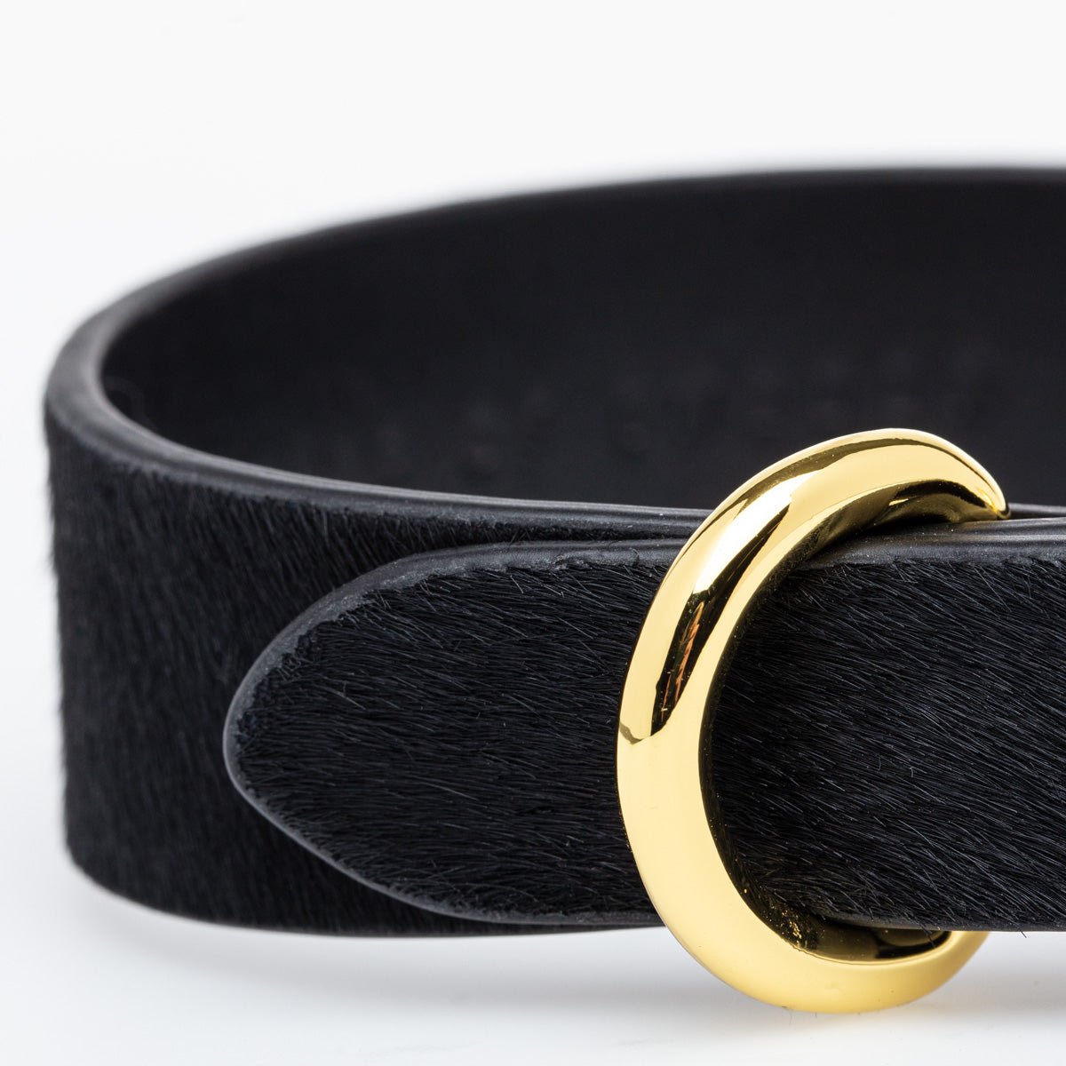 Collar para Perro Panther Delgado
