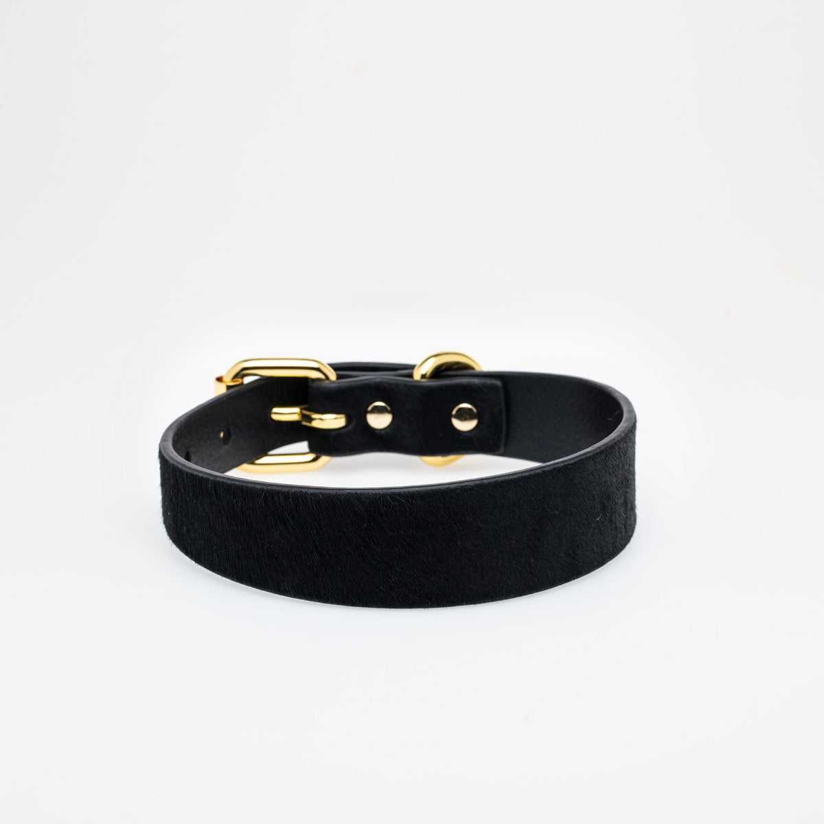 Collar para Perro Panther Delgado