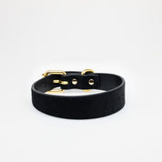 Collar para Perro Panther Delgado