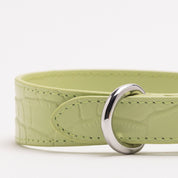 Collar de Perro Fino en Croco Verde Pastel