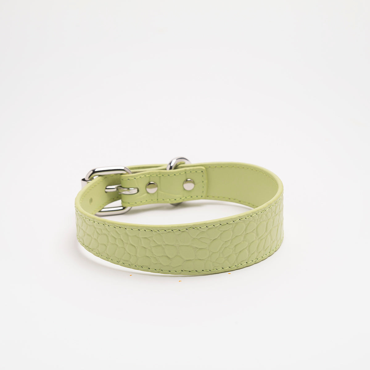 Collar de Perro Fino en Croco Verde Pastel