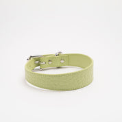 Collar de Perro Fino en Croco Verde Pastel