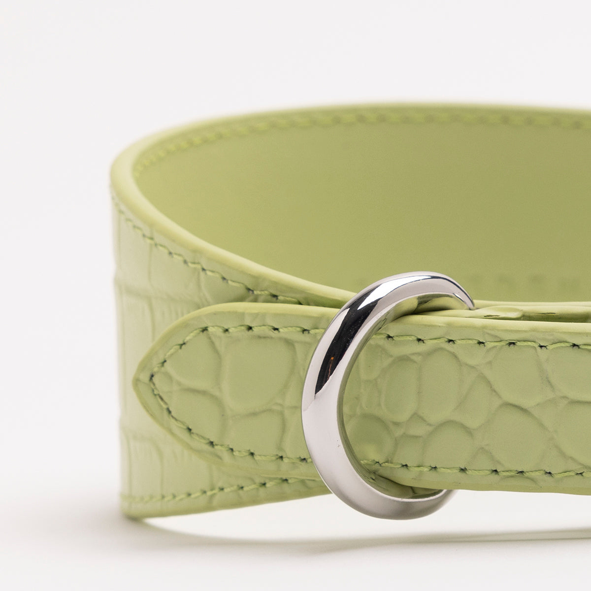 Collar para perro en verde pastel de cocodrilo ancho.