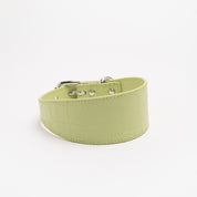 Collar para perro en verde pastel de cocodrilo ancho.