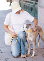 Collar de perro amarillo pastel ancho