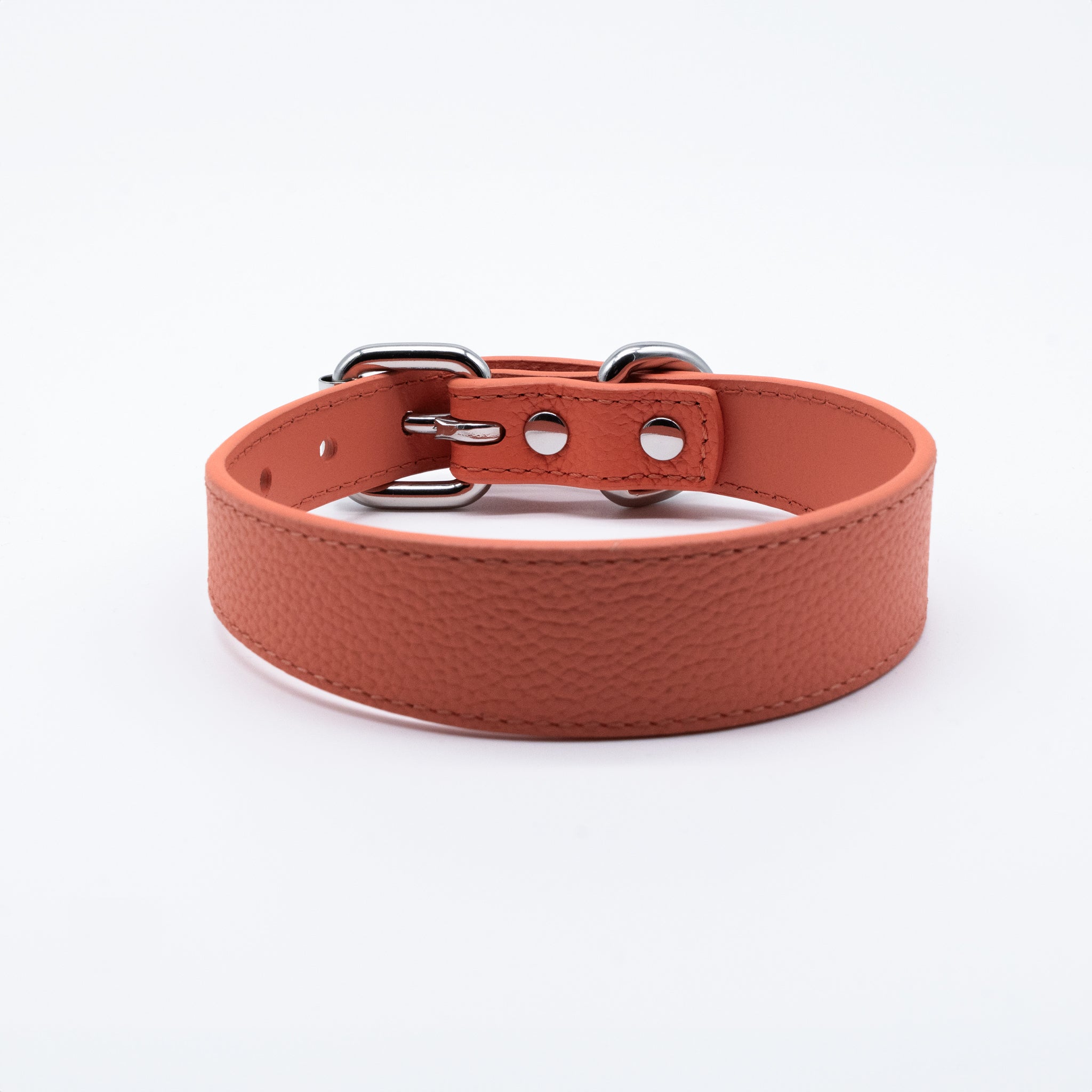 peach-dog-collar-thin-front.jpg