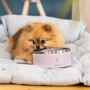 Tazón para Perro en Rosa Claro