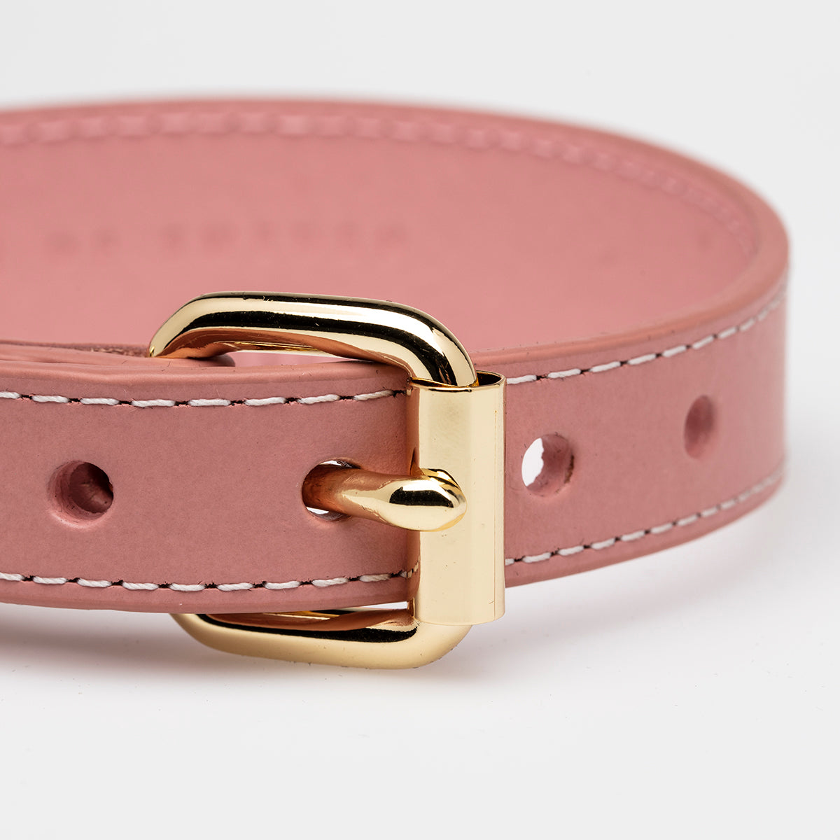 Collar de Perro Rosa Delgado