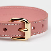 Collar de Perro Rosa Delgado