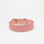 Collar de Perro Rosa Delgado