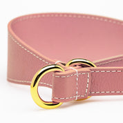 Rosa Collar de Perro Martingale Ancho