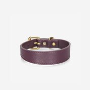 Plum Collar de Perro Delgado