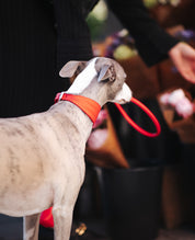 Collar Trenzado Rojo Puro Ancho