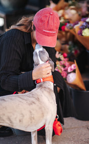 Gorra de mezclilla roja - Perros antes que chicos
