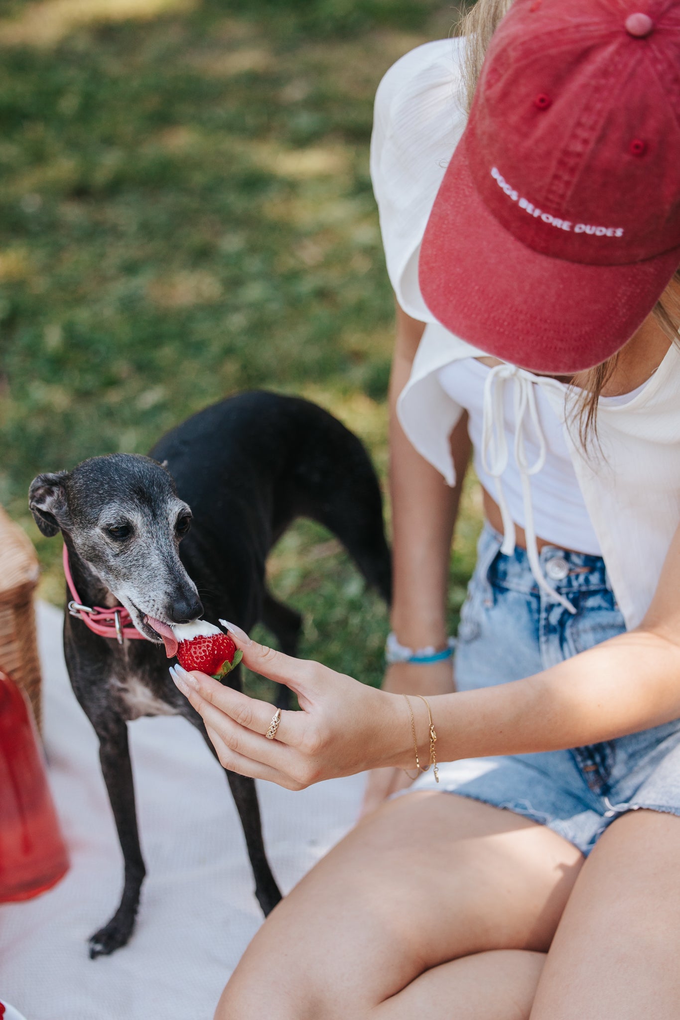 Gorra de mezclilla roja - Perros antes que chicos