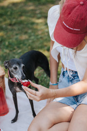 Gorra de mezclilla roja - Perros antes que chicos
