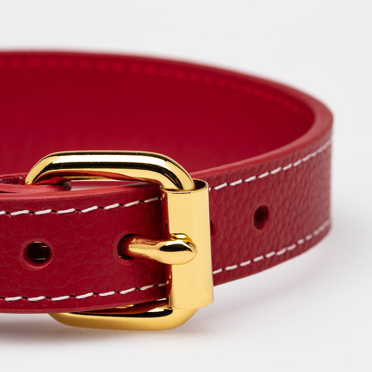 Collar Rojo para Perro Delgado
