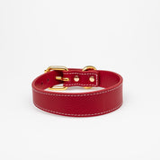Collar Rojo para Perro Delgado