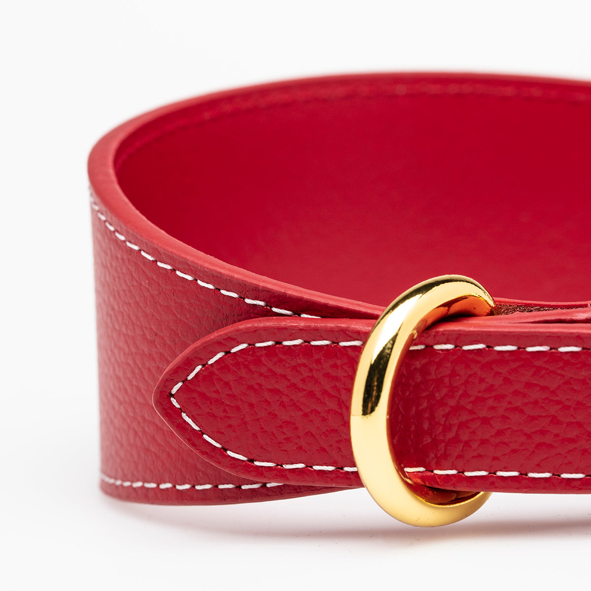 Collar de Perro Rojo Ancho