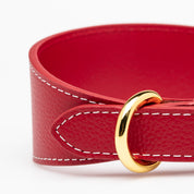 Collar de Perro Rojo Ancho