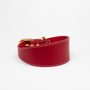 Collar de Perro Rojo Ancho