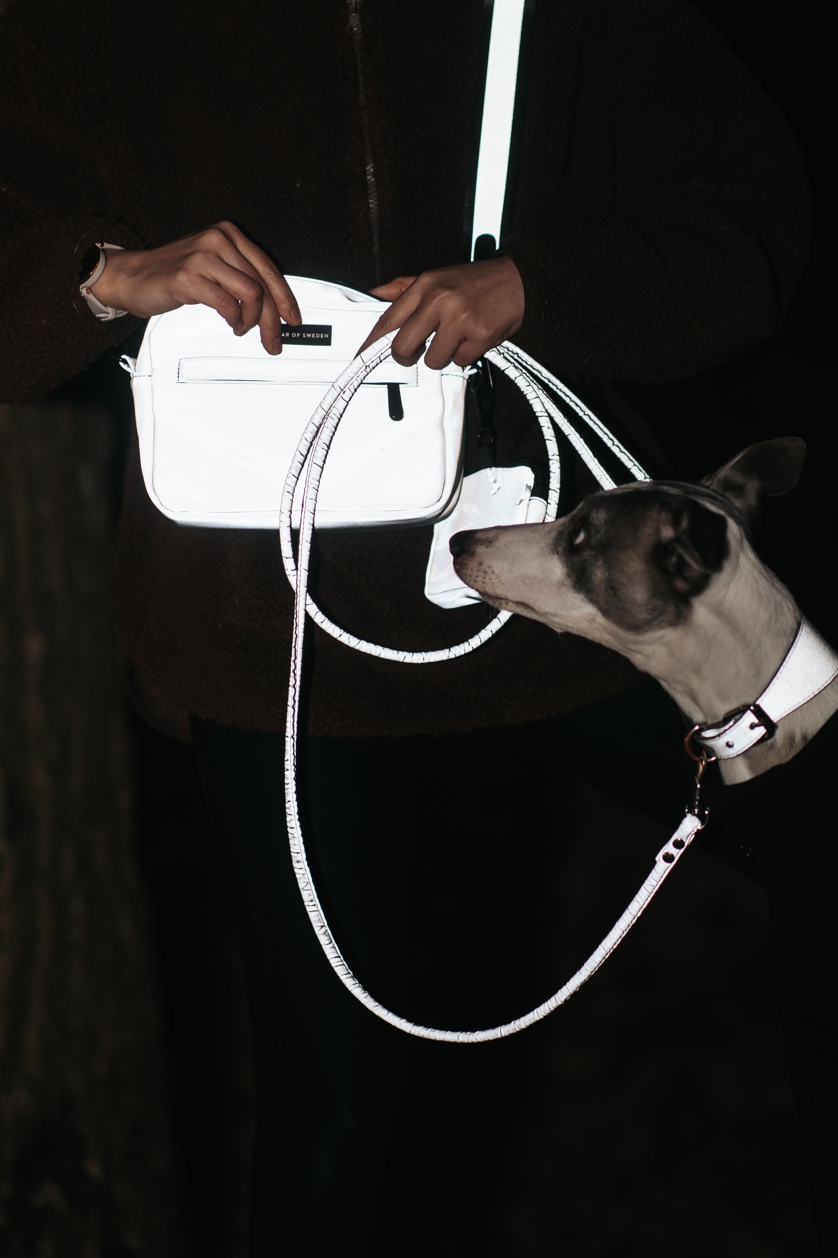 Bolso para perros reflectante