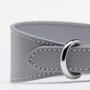 Collar de Perro Ancho Reflectante en Plata